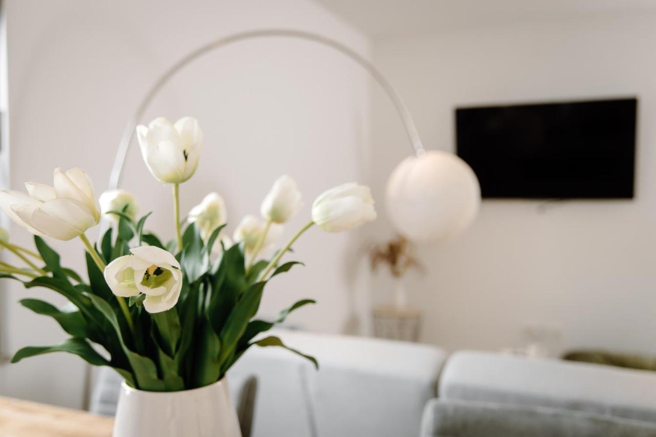 Moderne Suite No1 Im Herzen Von Hameln Хамелн Екстериор снимка